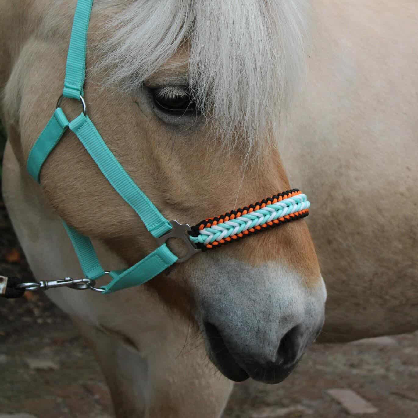 Handmade horse halters - Knotted halter 'Fire & Ice' mint/orange/black
