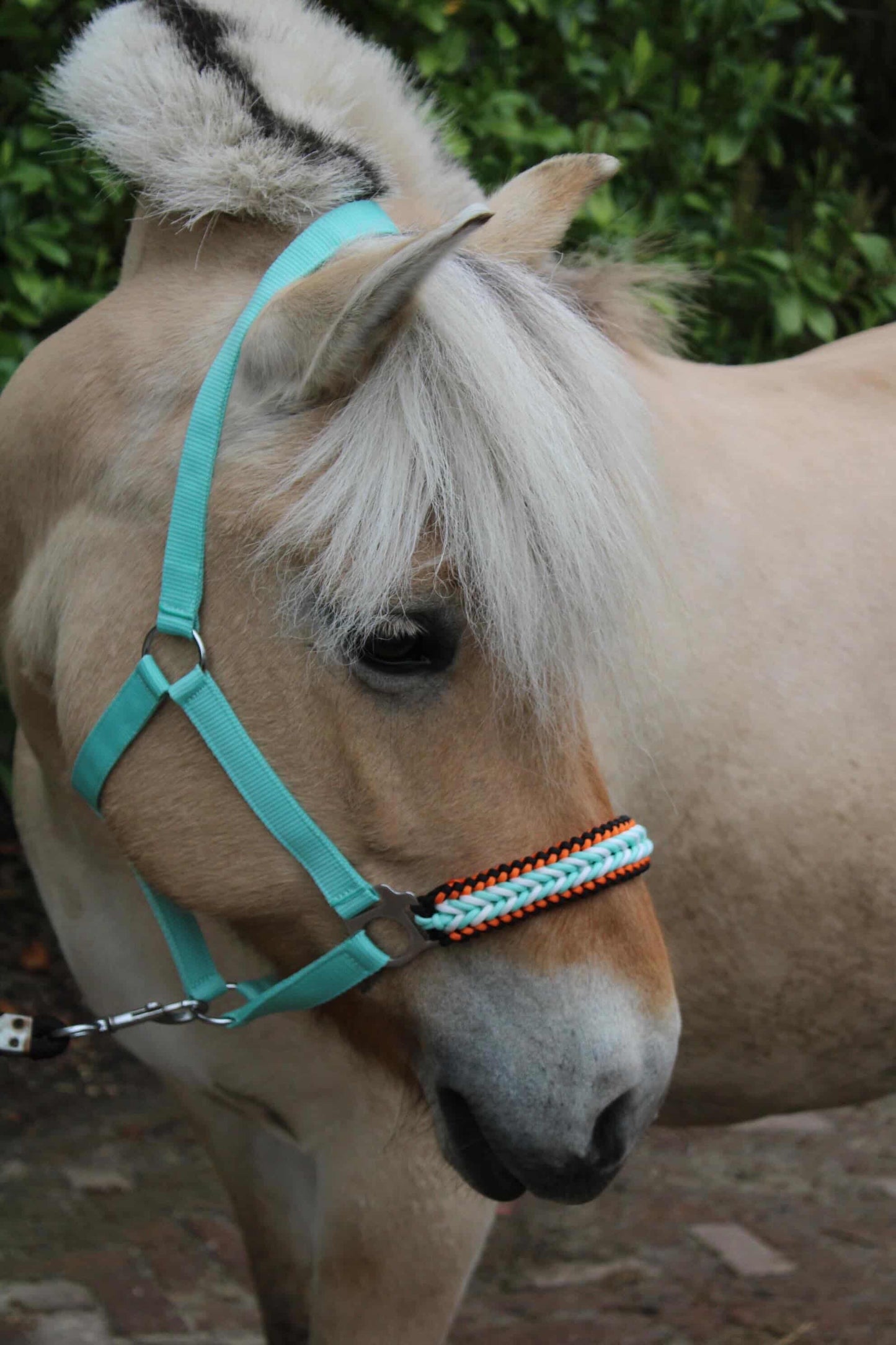 Handmade horse halters - Knotted halter 'Fire & Ice' mint/orange/black