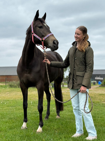 Happy Halsters x FMH - Sweetheart Exclusive Halfter verschiedene Farben