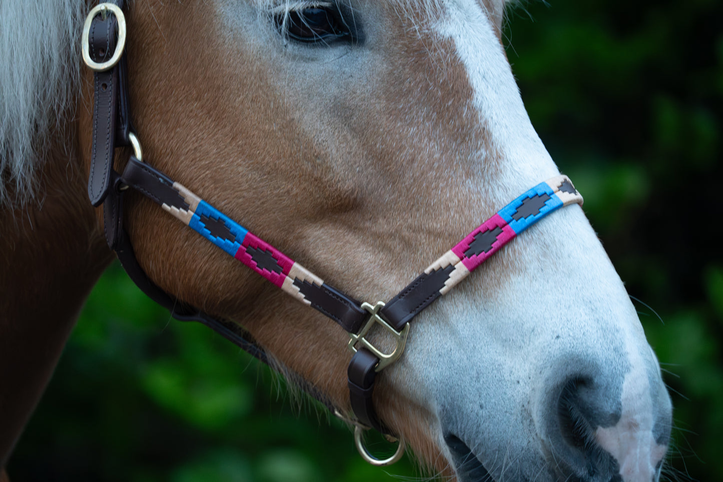 FMH - Havana Lederhalfter ‘Polo Vaquero Classy’ rot/blau/creme