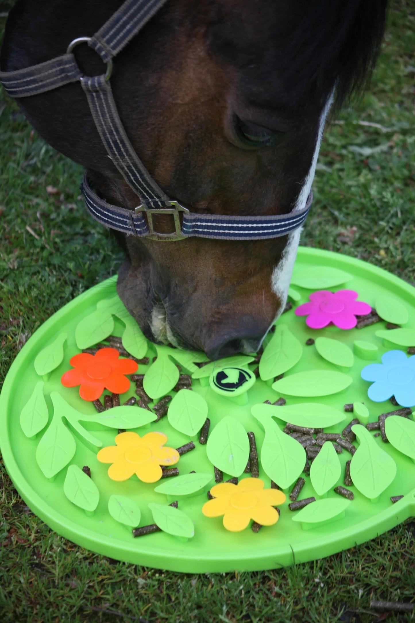 Excellent Horse - Snuffle Mat Flower Power