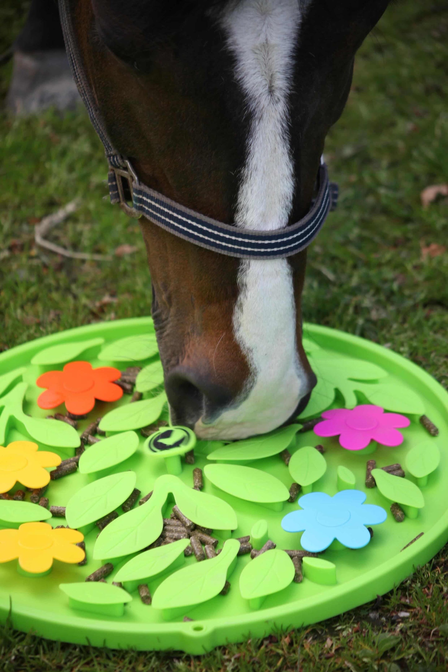 Excellent Horse - Snuffle Mat Flower Power