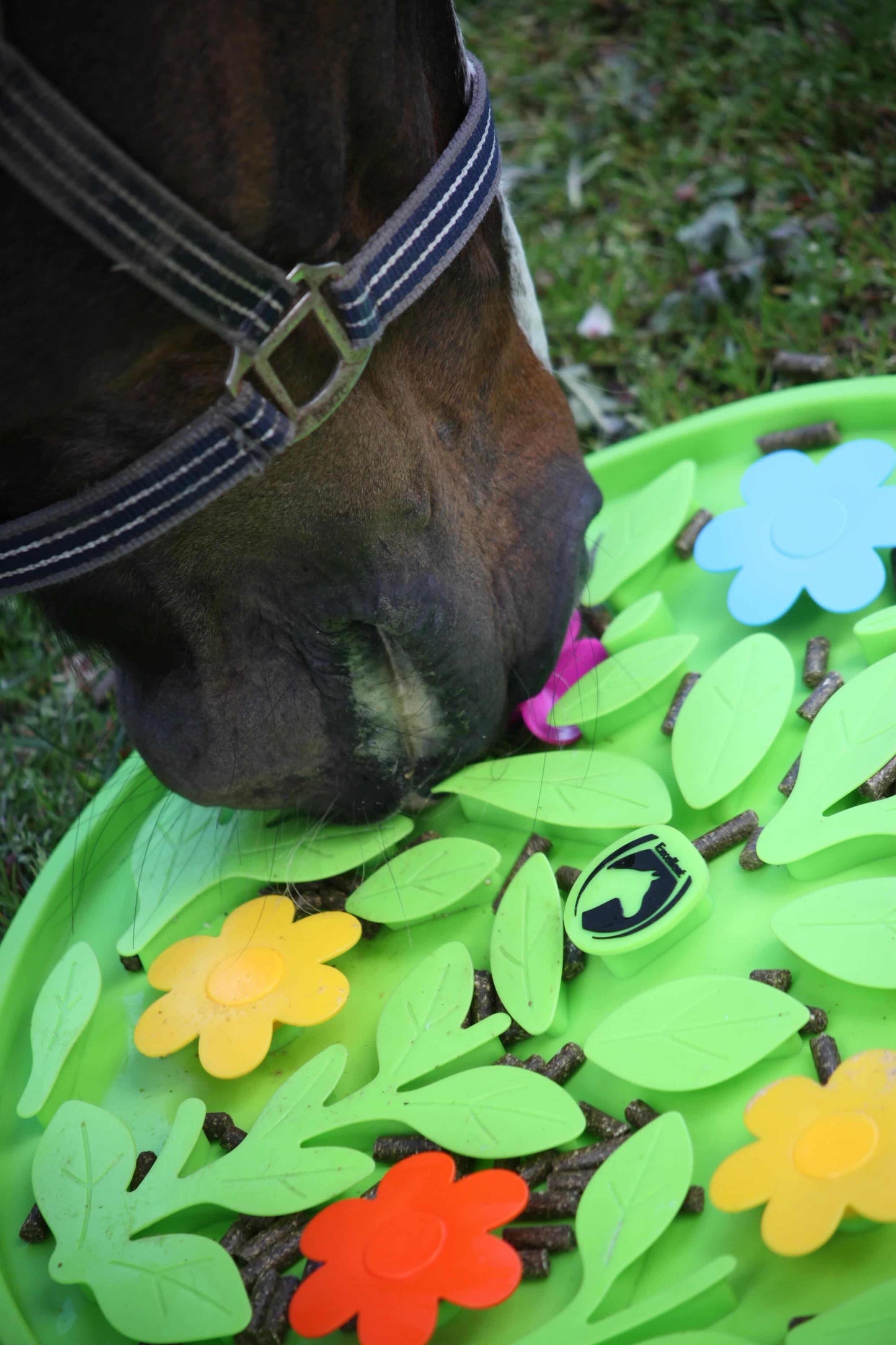 Excellent Horse - Snuffle Mat Flower Power