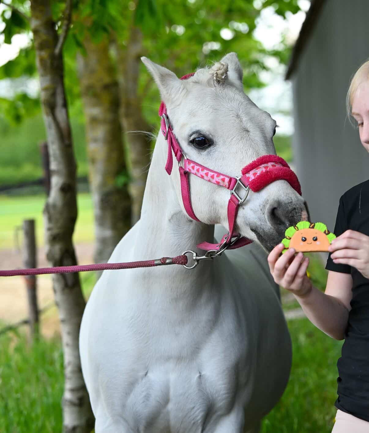 Candy Horse - Foodie Limited Collection - Los Koekje (div. varianten)
