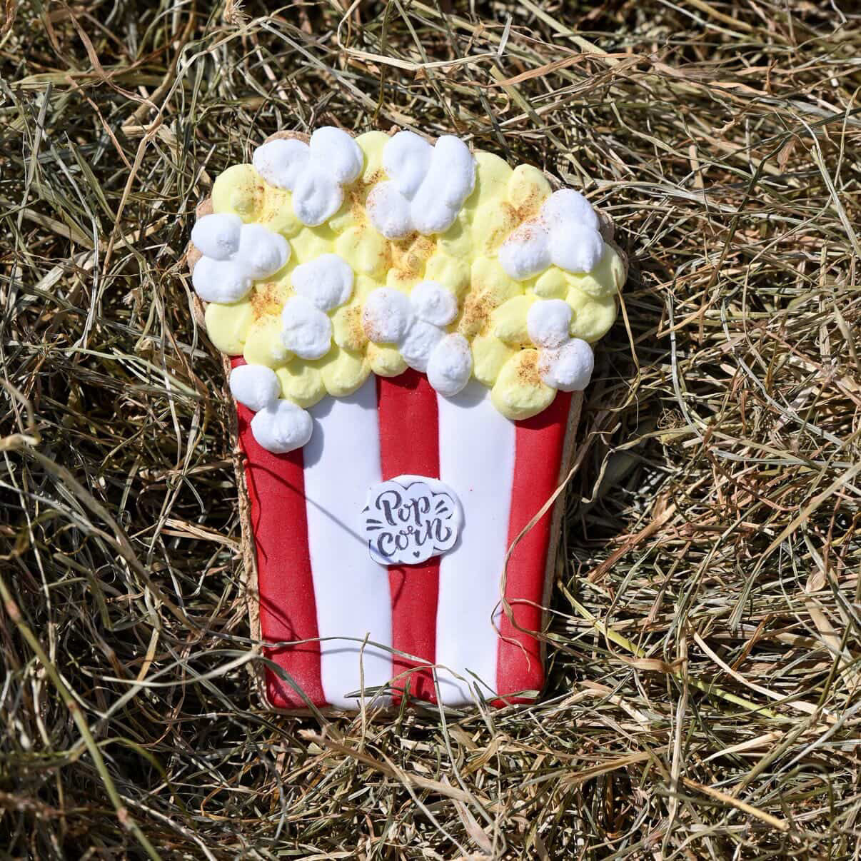 Candy Horse - Foodie Limited Collection - Los Koekje (div. varianten)