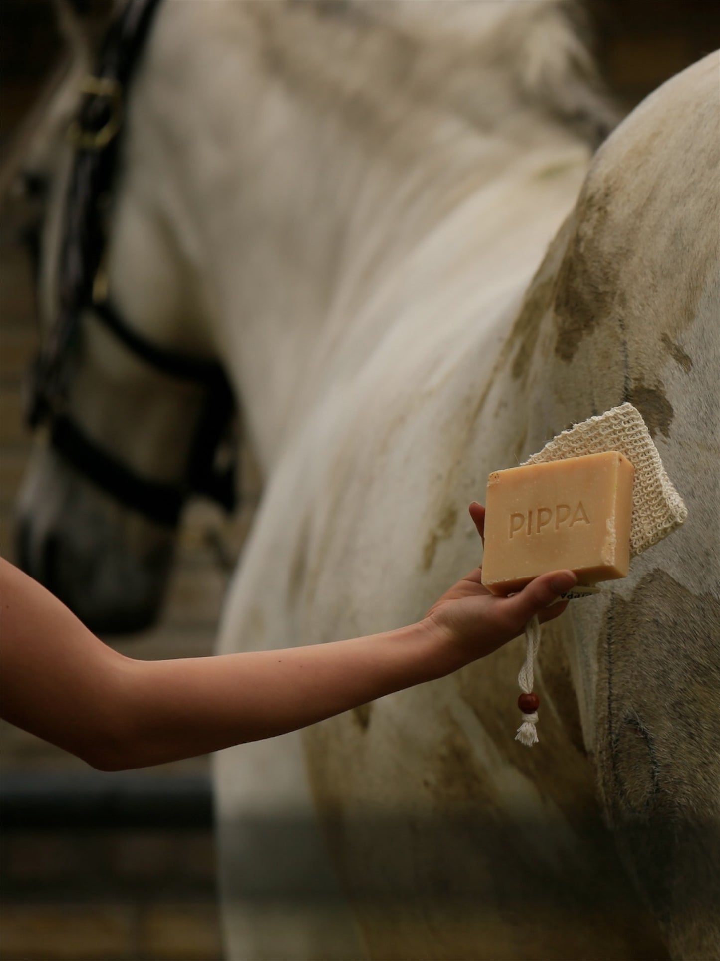 PIPPA - Shampoo solido Lemongrass & Mint