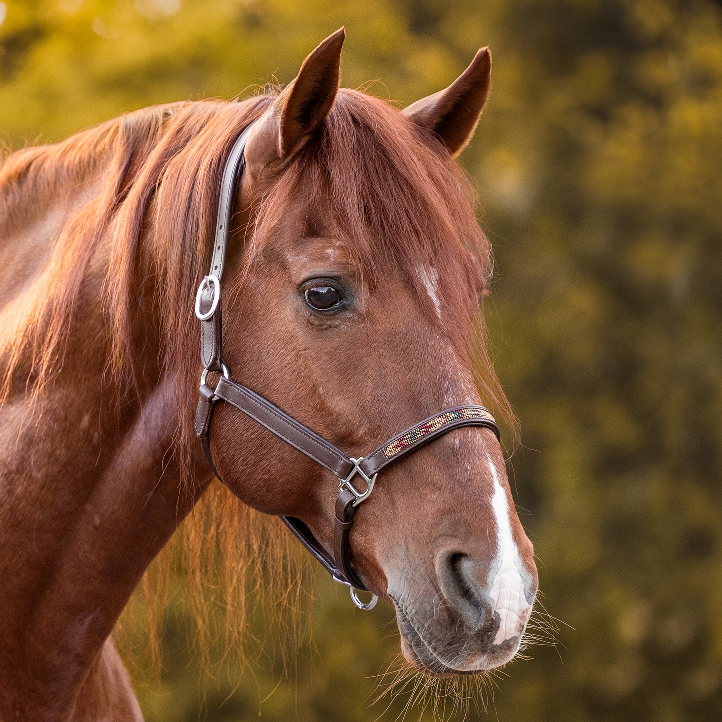 FMH – Cognacfarbener Lederhalfter mit Perlen „Beaded Bronco Nature“ Camel/Gold/Emerald