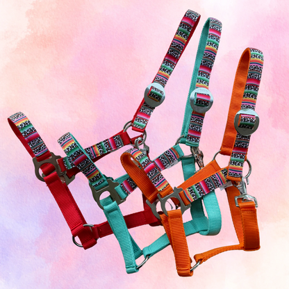 Happy Halsters x FMH - Colourful Panther Exclusive halter various colors