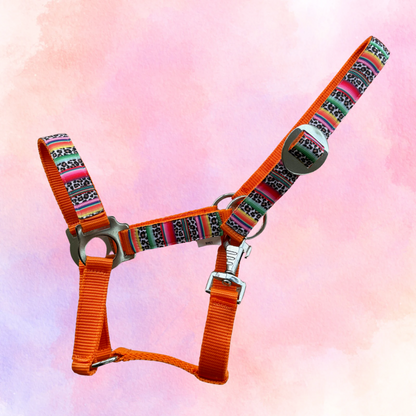 Happy Halsters x FMH - Colourful Panther Exclusive halter various colors