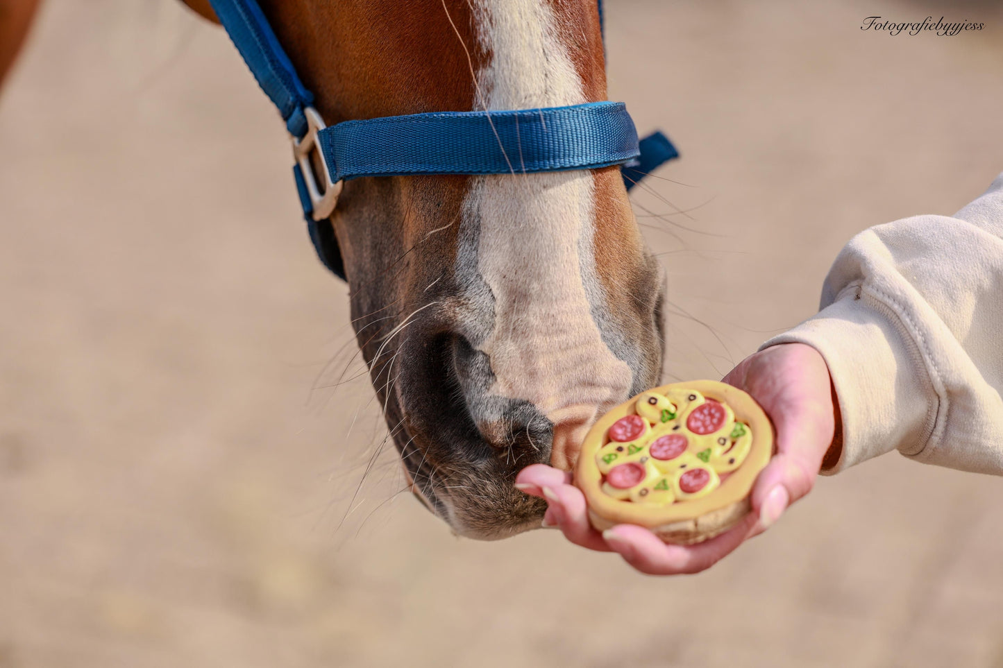 Candy Horse - Foodie Limited Collection - Los Koekje (div. varianten)