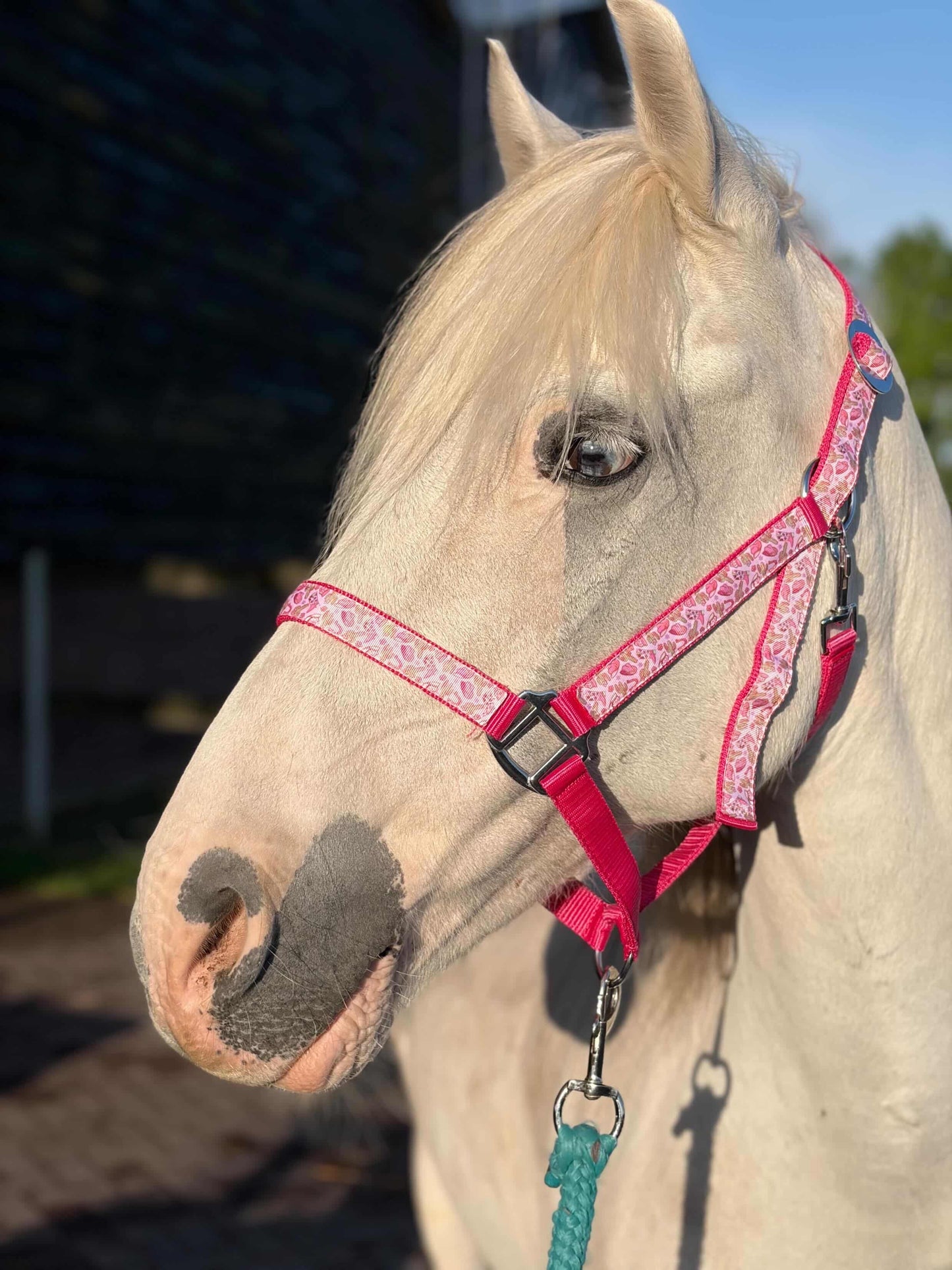 Happy Halters x FMH - Pink Cowgirl Exclusive halter div. to colour