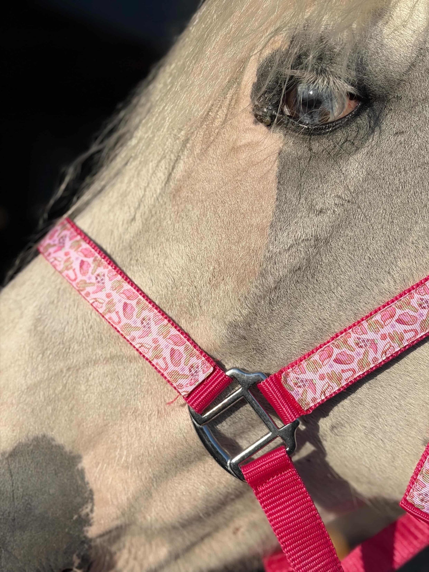 Happy Halters x FMH - Pink Cowgirl Exclusive halter div. to colour