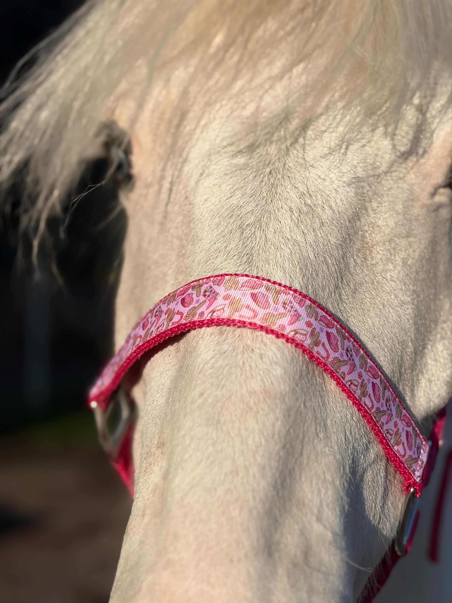 Happy Halters x FMH - Pink Cowgirl Exclusive halter div. to colour