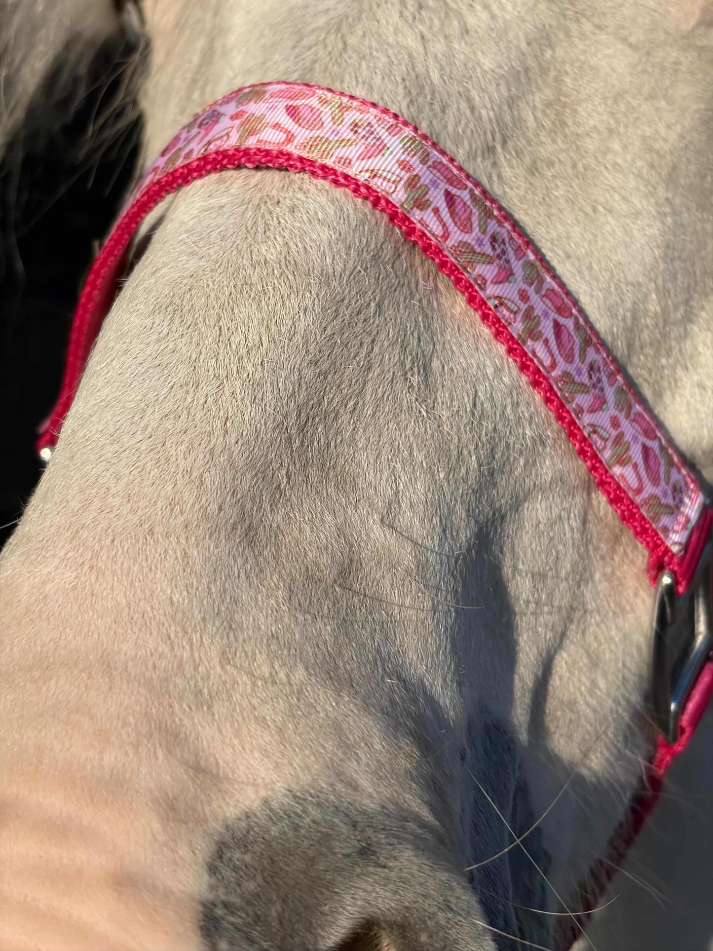 Happy Halters x FMH - Pink Cowgirl Exclusive halter div. to colour