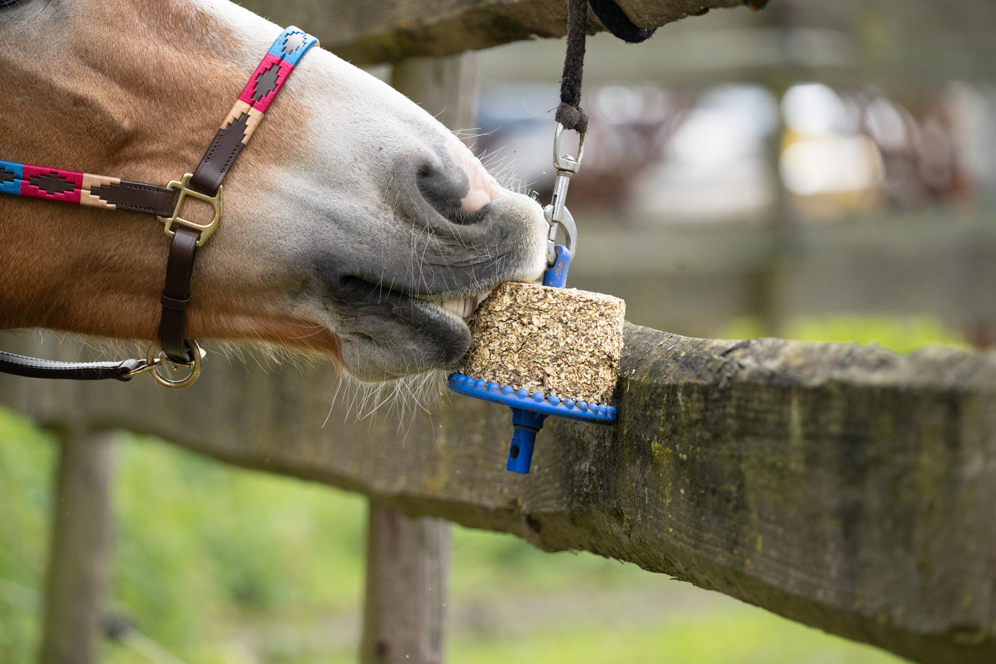 Happy Crackers - Happy snack/lick block selvatico