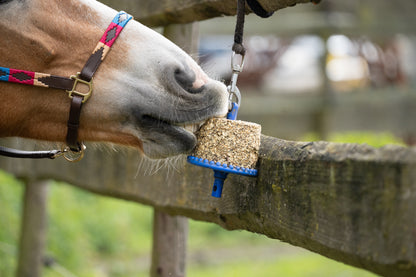 Happy Crackers - Happy Wild Chew/Lick Block