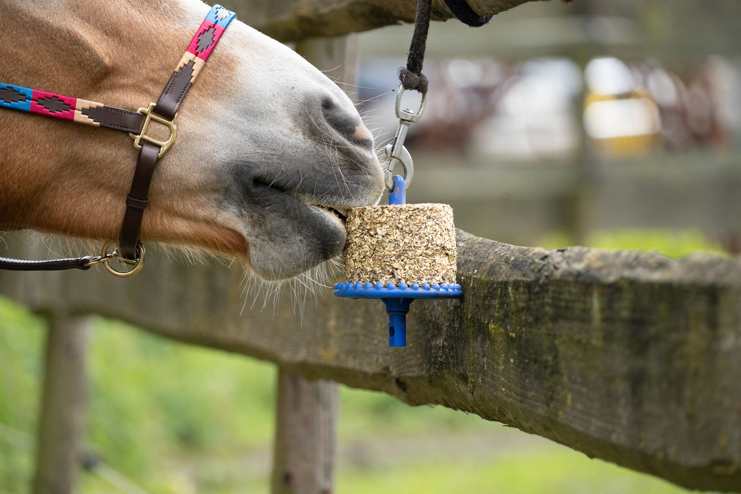 Happy Crackers - Happy snack/lick block selvatico