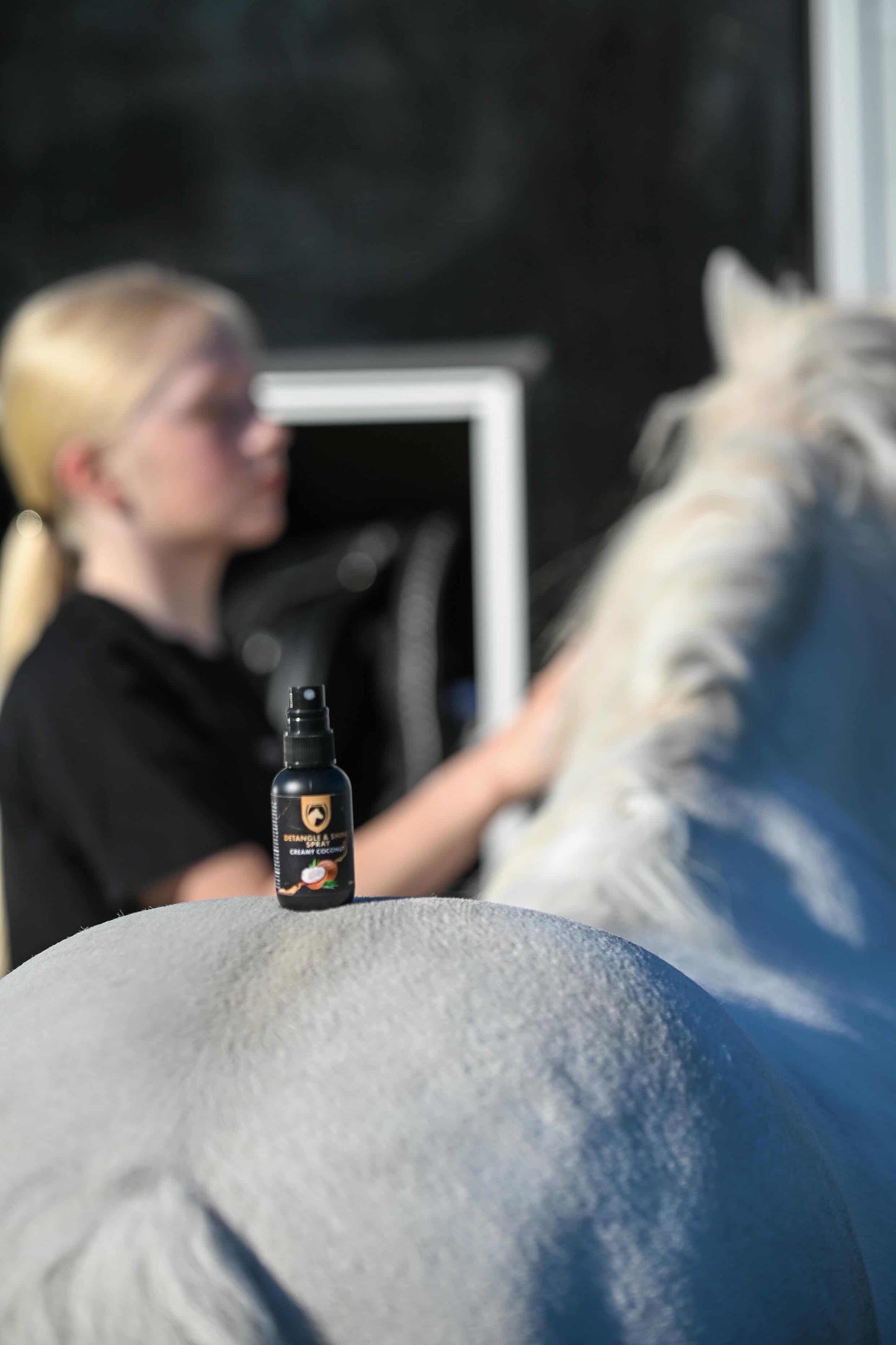 Excellent Horse - Coffret cadeau Spray démêlant & brillant 5 x 50 ML