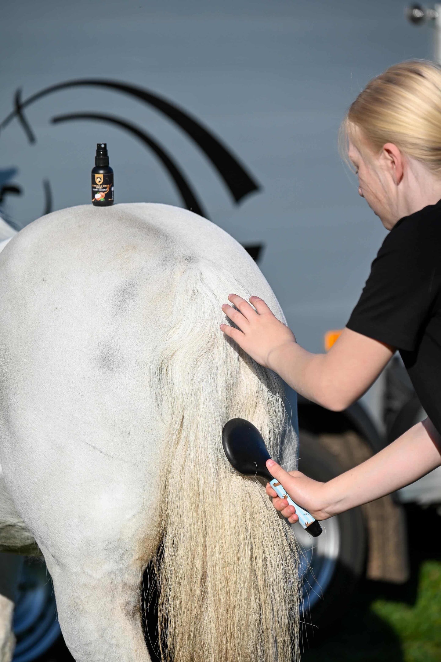 Excellent Horse - Coffret cadeau Spray démêlant & brillant 5 x 50 ML