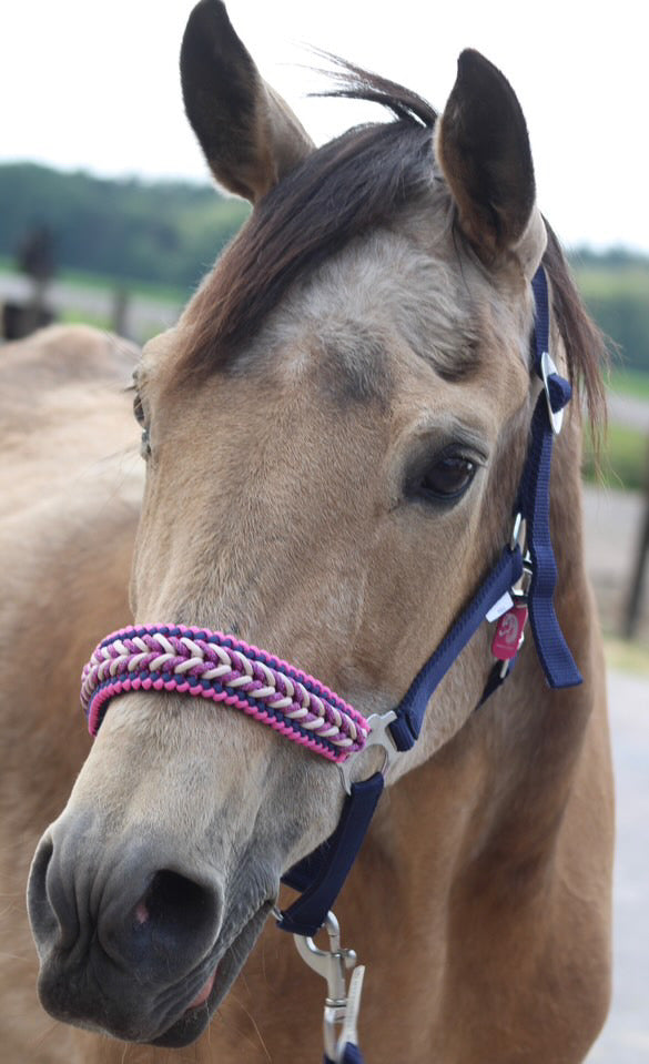 Handgemaakte paardenhalsters - Geknoopt halster ‘Bestie’ donkerblauw/ roze