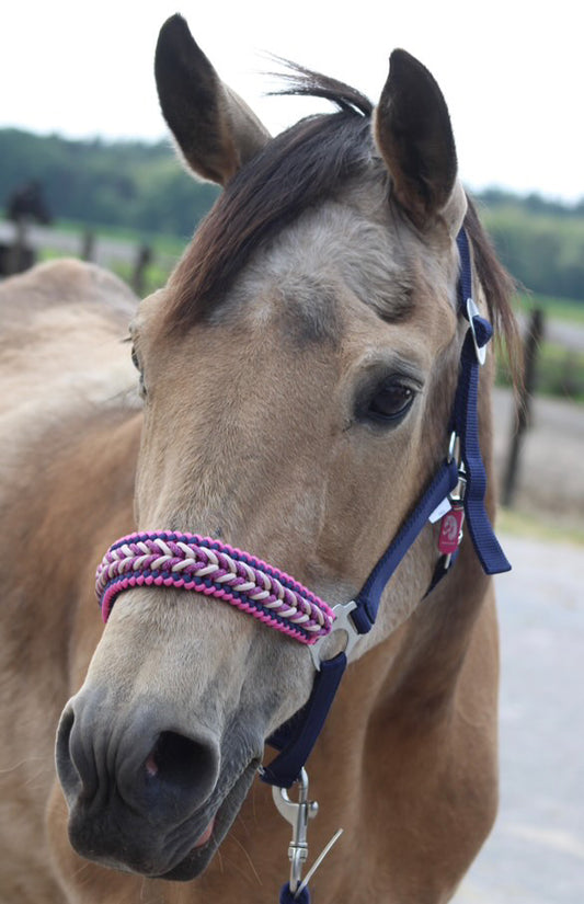 Handgemaakte paardenhalsters - Geknoopt halster ‘Bestie’ donkerblauw/ roze