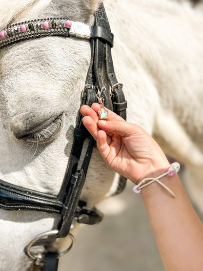 FMH - Lucky Charm Bridle Charm Star Pastel