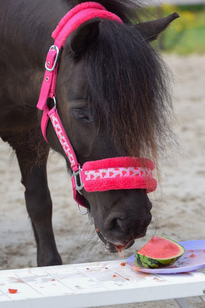 Happy Halsters - Fuchsia Wassermelonenhalfter (bunt)