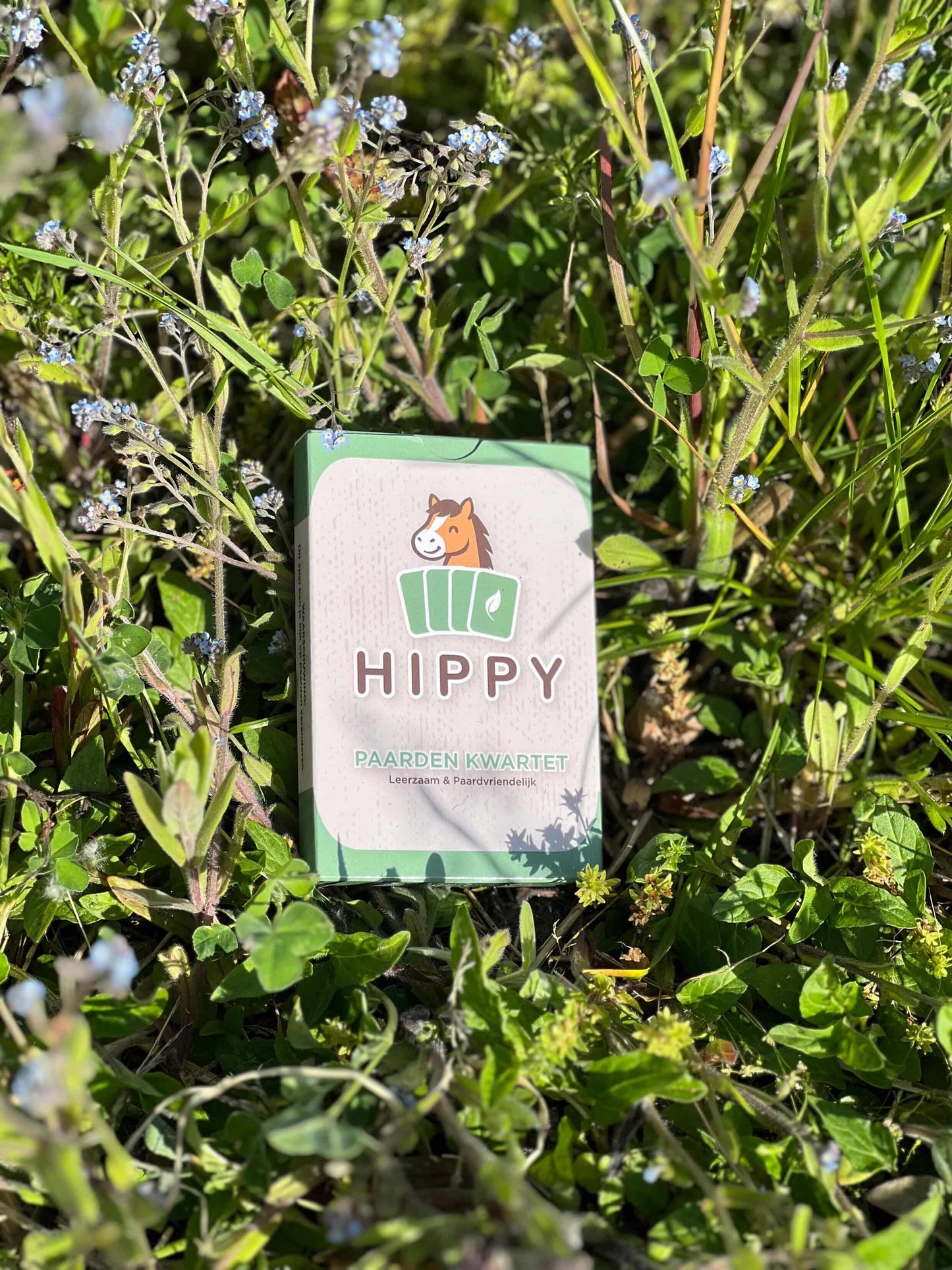 HIPPY - Le jeu de cartes HIPPY respectueux des chevaux