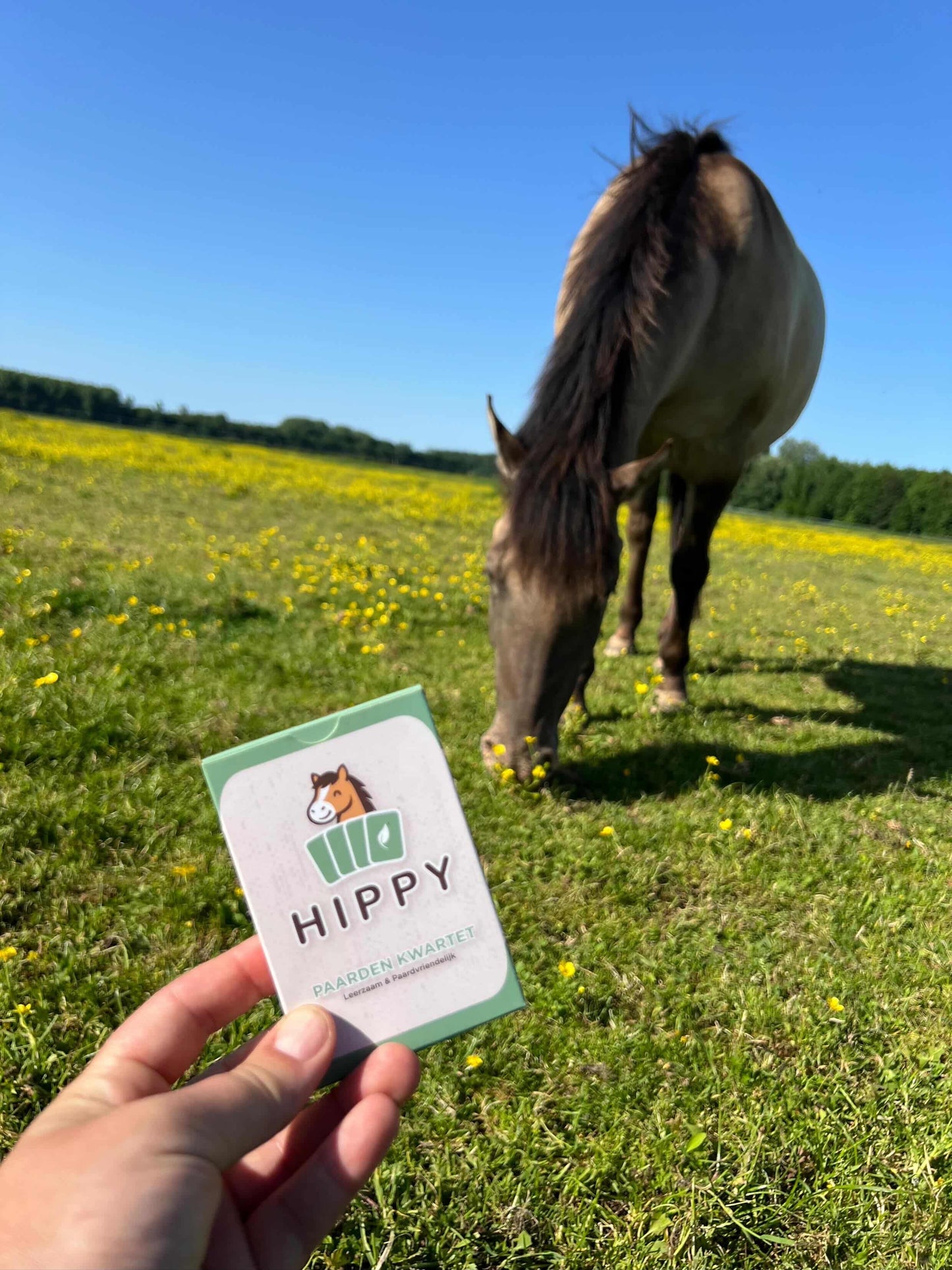 HIPPY - Le jeu de cartes HIPPY respectueux des chevaux