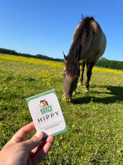 HIPPY - Das pferdefreundliche HIPPY Quartett  