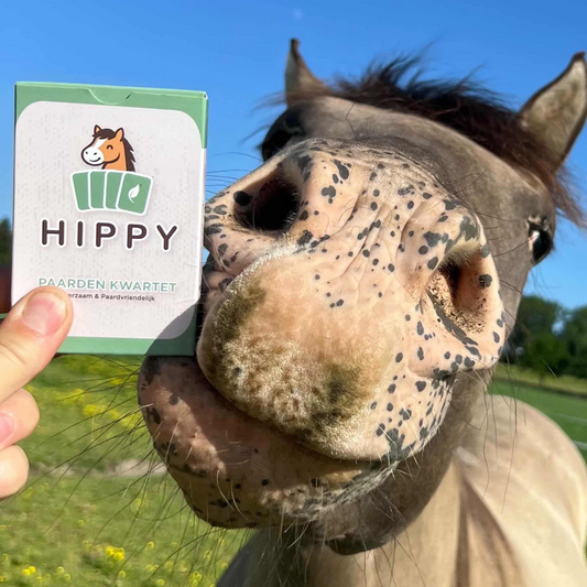 HIPPY - Il quartetto HIPPY amico dei cavalli