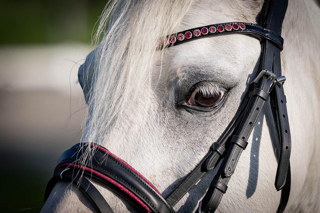 UNCLAIMED ITEMS - FMH - Luxe Hanoverian hoofdstel ‘Oops, I’m a Diva’ met dubbele neusriem roze onderlegd zwart leder incl. teugels (promoveiling) FULL