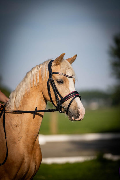 FMH - Luxury Hanoverian Bridle ‘Oops, I’m a Diva’ with Double Noseband Pink Lined Black Leather incl. Reins