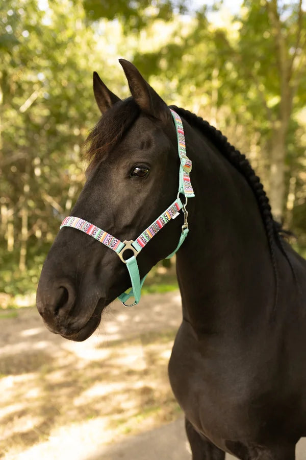 Happy Halsters x FMH - Capestro Colourful Panther Exclusive vari colori