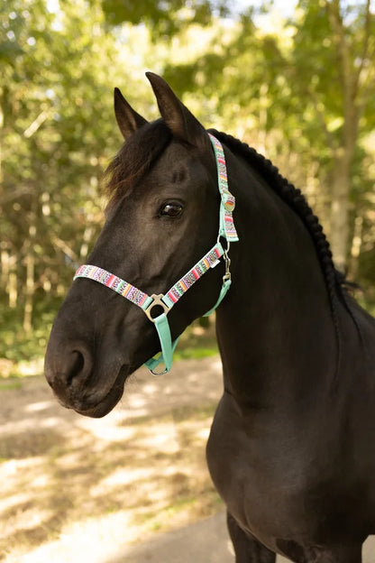 Happy Halsters x FMH - Colourful Panther Exclusive halter various colors