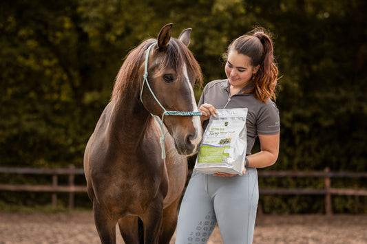 Vitalbix - Tiny Horse Treats 2KG