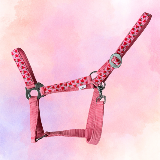 Happy Halsters - Lichtroze watermeloen halster