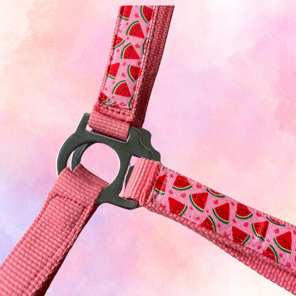 Happy Halsters - Hellrosa Wassermelonenhalfter