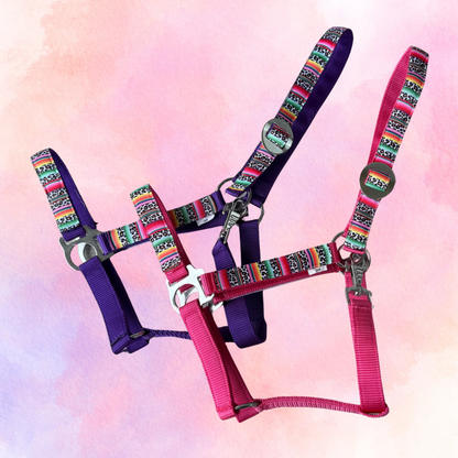 Happy Halsters x FMH - Colourful Panther Exclusive halter various colors
