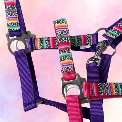 Happy Halsters x FMH - Colourful Panther Exclusive halter various colors