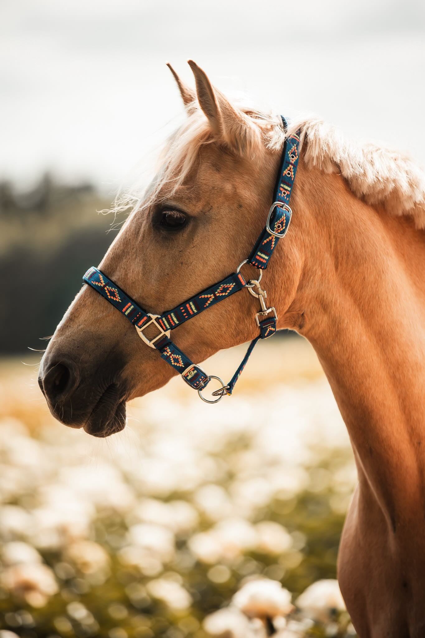 FMH - Embroidered nylon halter with padding ‘Nomad Spirit’ blue