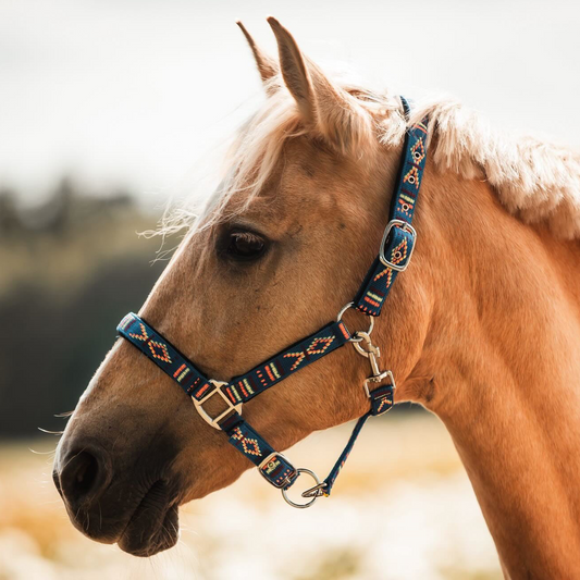 FMH - Geborduurd nylon halster met padding ‘Nomad Spirit’ blauw