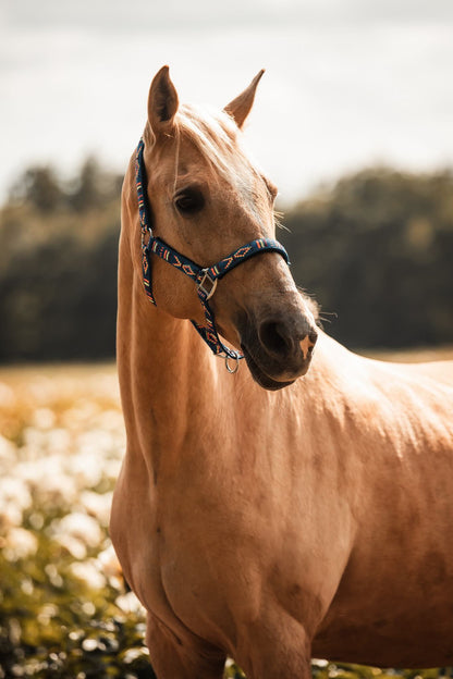 FMH - Embroidered nylon halter with padding ‘Nomad Spirit’ blue