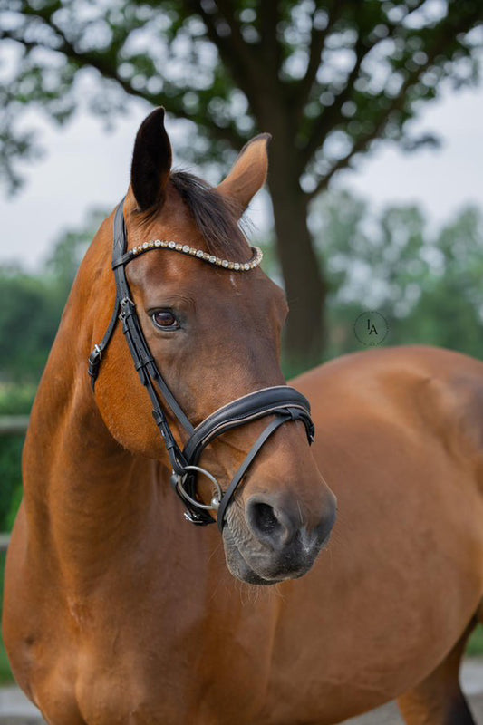 FMH - Luxe Hanoverian hoofdstel ‘You're Golden’ met dubbele neusriem goud onderlegd in bruin of zwart incl. teugels