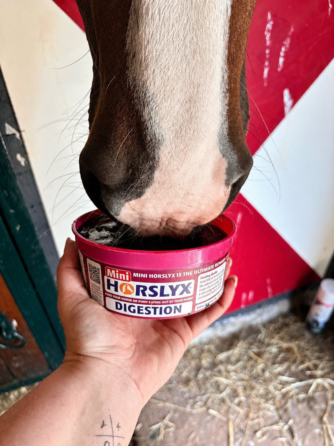 Horslyx - Liksteen Horslyx mini