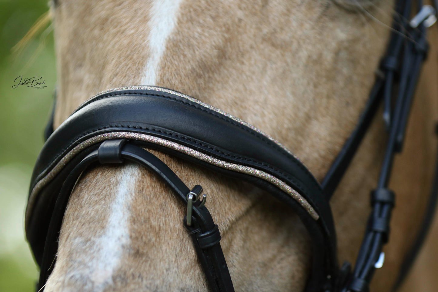 FMH - Luxe Hanoverian hoofdstel ‘You're Golden’ met dubbele neusriem goud onderlegd in bruin of zwart incl. teugels
