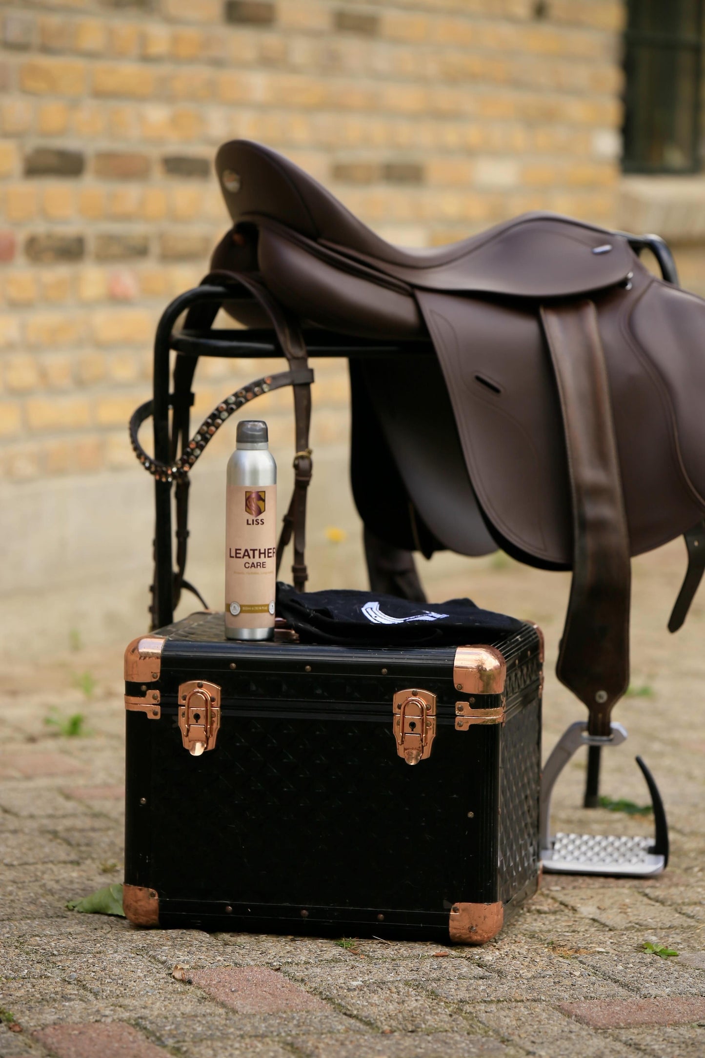 LISS - Lederpflege Spray