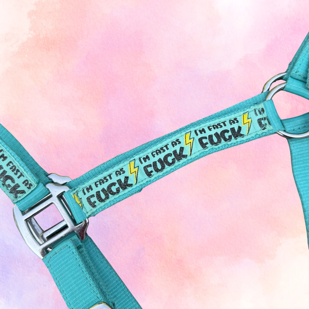 FMH - Nylon turquoise halster ‘Fast as F*CK’