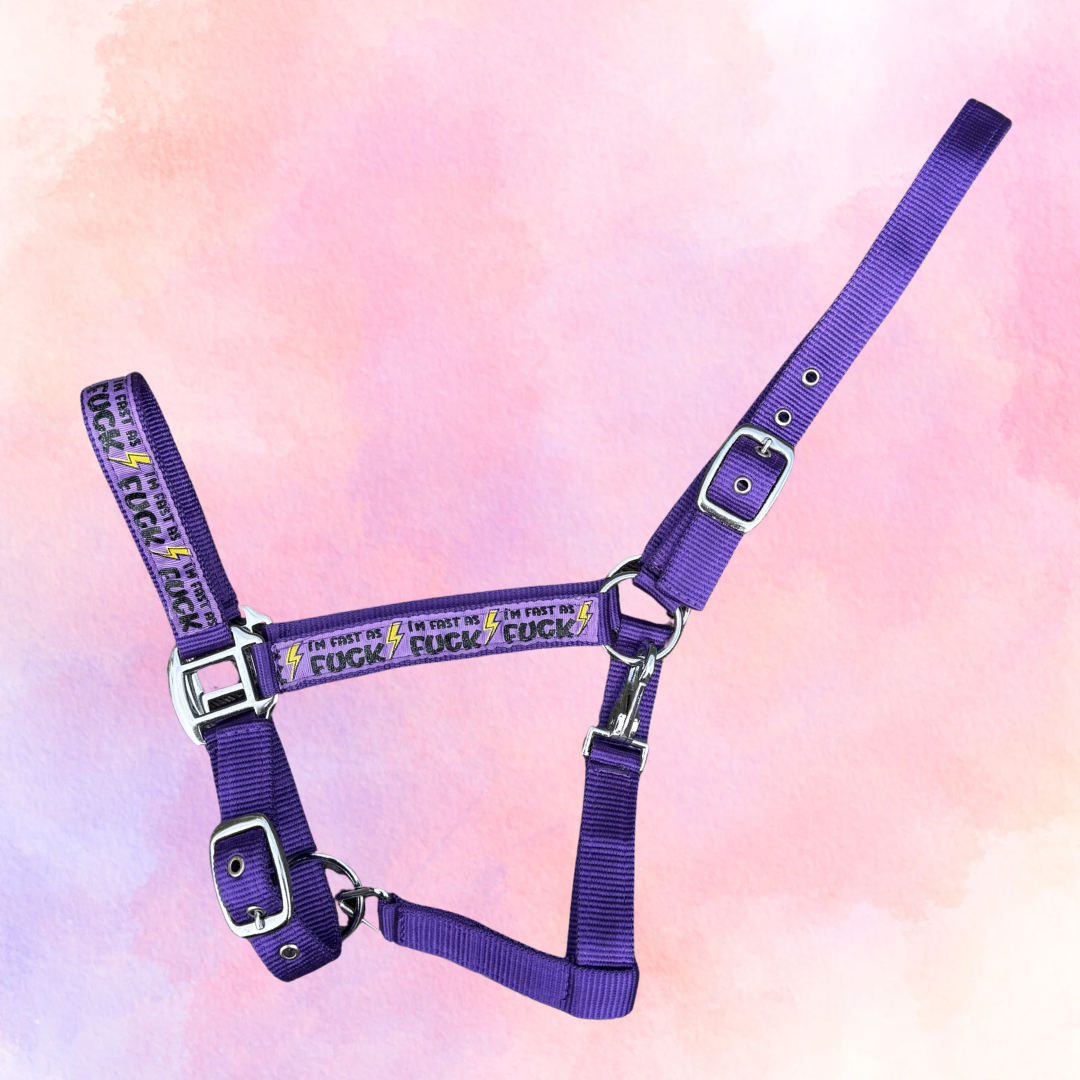 FMH - Nylon paars halster ‘Fast as F*CK’