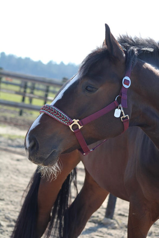 Handgemaakte paardenhalsters - Geknoopt halster ‘Minty Merlot’ Bordeaux/mint